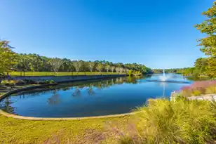 137 Brant Dr, Summerville, SC 29483 - Photo 53