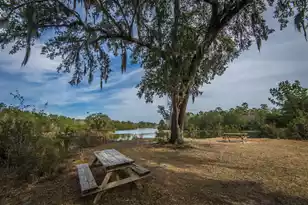 137 Brant Dr, Summerville, SC 29483 - Photo 51