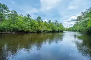 100 Hannibal Trl, Ridgeville, SC 29472 - Photo 19