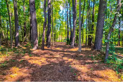 141 Meredith Drive, Eutawville, SC 29048 - Photo 69