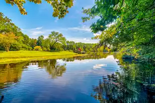 141 Meredith Dr, Eutawville, SC 29048 - Photo 73