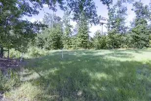 0 Mulberry Rd, Saint George, SC 29477 - Photo 5