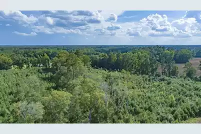 0 Mulberry Road, Saint George, SC 29477 - Photo 43