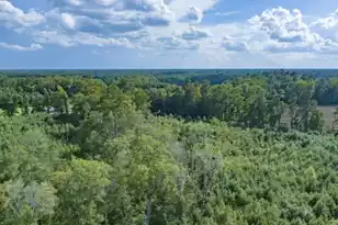 0 Mulberry Rd, Saint George, SC 29477 - Photo 43