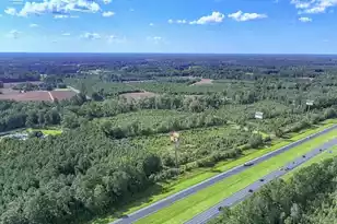 0 Mulberry Rd, Saint George, SC 29477 - Photo 25