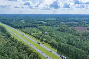 0 Mulberry Rd, Saint George, SC 29477 - Photo 13