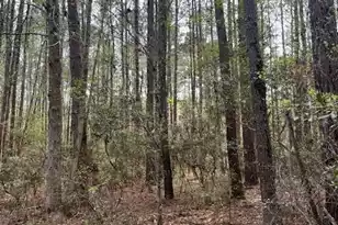 0 Palm St, Reevesville, SC 29471 - Photo 1