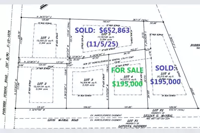 1160 Porcher School Rd #Lot 4, Awendaw, SC 29429 - Photo 7
