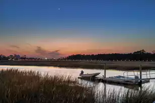 178 Beresford Creek St, Daniel Island, SC 29492 - Photo 77