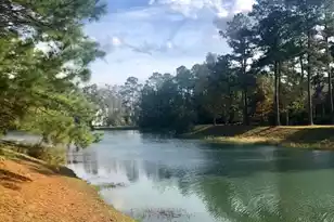 4163 Deep Step Dr, Ravenel, SC 29470 - Photo 9