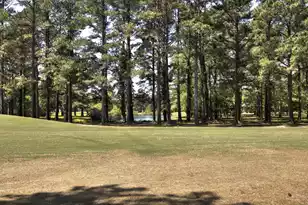 233 Plantation Dr, Manning, SC 29102 - Photo 57