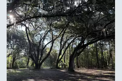 7939 Legare Road, Edisto Island, SC 29438 - Photo 13