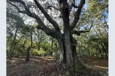7939 Legare Road, Edisto Island, SC 29438 - Photo 15