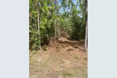 Ppf 8 Payne Pond Road #Ppf 8, Westville, SC 29175 - Photo 3