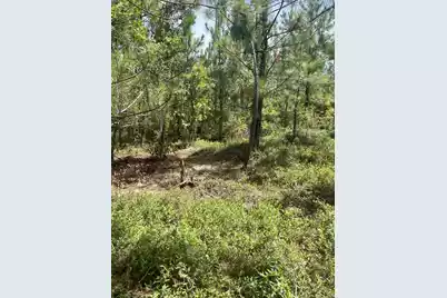 Ppf 8 Payne Pond Road #Ppf 8, Westville, SC 29175 - Photo 9