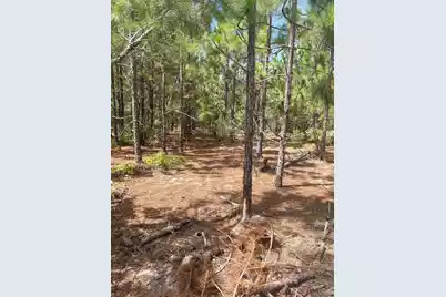 Ppf 8 Payne Pond Road #Ppf 8, Westville, SC 29175 - Photo 5