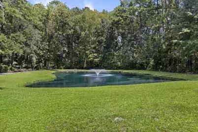 0 Pawlett Blake Lane, Wadmalaw Island, SC 29487 - Photo 13