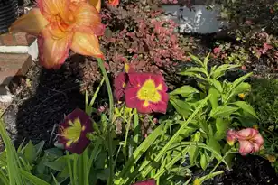 107 True Blue Loop, Summerville, SC 29486 - Photo 51