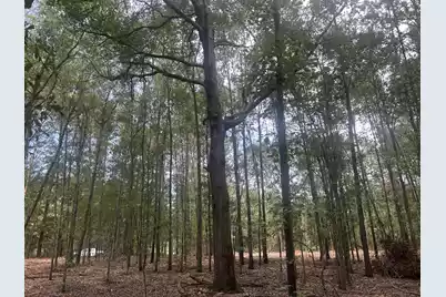 2 Francis Marion Boulevard, Summerton, SC 29148 - Photo 5