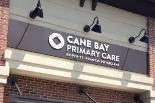 259 Spectrum Rd, Summerville, SC 29486 - Photo 47