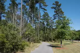 259 Spectrum Rd, Summerville, SC 29486 - Photo 45