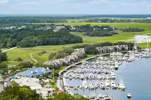 2611 High Hammock Rd, Seabrook Island, SC 29455 - Photo 107