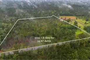 1035 SC-61, Ridgeville, SC 29472 - Photo 1