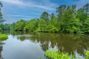 975 Mayfield St, Summerville, SC 29485 - Photo 83