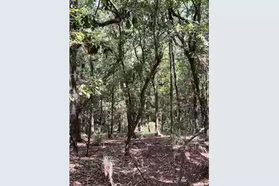 4226 Wild Turkey Way, Johns Island, SC 29455 - Photo 33