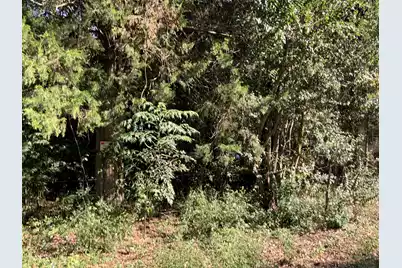 123 Dawsey Street, Cordova, SC 29039 - Photo 7