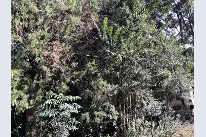 123 Dawsey Street, Cordova, SC 29039 - Photo 9