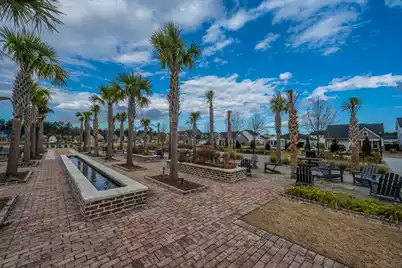 115 Swaying Palm Drive, Summerville, SC 29485 - Photo 41