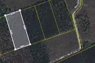 000 Can City Rd, Smoaks, SC 29481 - Photo 1
