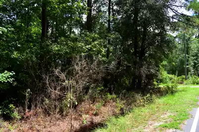 0 Cherry Hill Road, Hollywood, SC 29449 - Photo 1