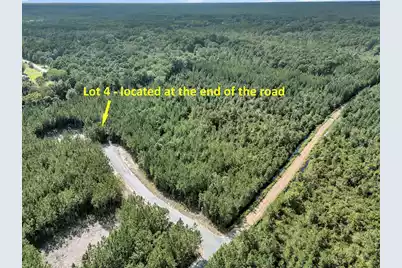 759 Deas Hill Road, McClellanville, SC 29458 - Photo 3