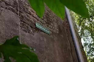 10 Philadelphia Alley Lot C, Charleston, SC 29401 - Photo 13