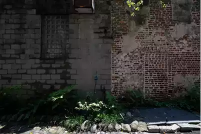 10 Philadelphia Alley #Lot C, Charleston, SC 29401 - Photo 11