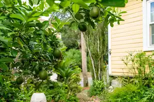 120 Hudson Ave W, Folly Beach, SC 29439 - Photo 45