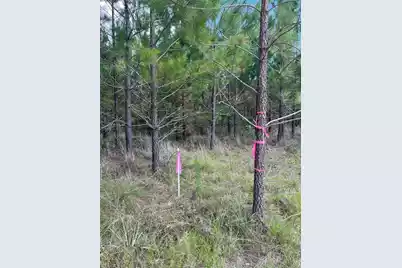 Bff 1A Brunson Teal Road #Bff 1A, Patrick, SC 29584 - Photo 11