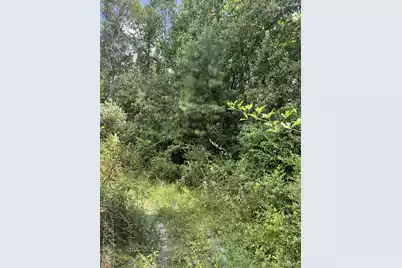 Bff 1A Brunson Teal Road #Bff 1A, Patrick, SC 29584 - Photo 3