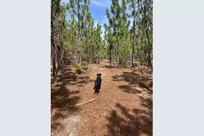 Bff 1A Brunson Teal Road #Bff 1A, Patrick, SC 29584 - Photo 7