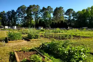 824 Bentwood Cir, Manning, SC 29102 - Photo 53