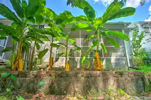 117 Steeple Point Ct, Summerville, SC 29485 - Photo 29