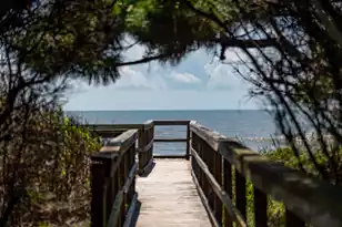 1315 Ashley Ave E, Folly Beach, SC 29439 - Photo 51