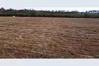 149 Rambling Ln, Cross, SC 29436 - Photo 5