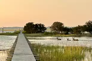 14 Waterway Island Dr, Isle Of Palms, SC 29451 - Photo 21