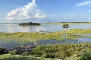 14 Waterway Island Dr, Isle Of Palms, SC 29451 - Photo 17