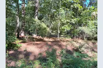 0 B Acorn Lane, Santee, SC 29142 - Photo 3