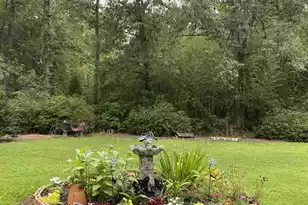 1151-1A Orangeburg Rd, Summerville, SC 29483 - Photo 15