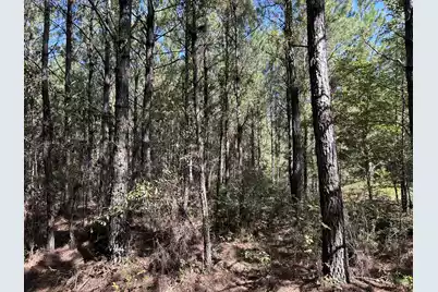 10 Red Oak Road, Cottageville, SC 29435 - Photo 17